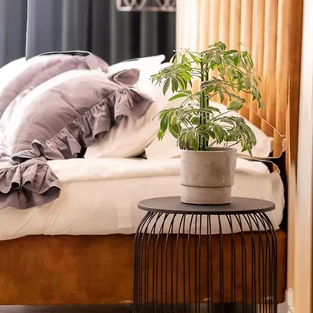 Sypialnia Nad Morzem * Kołobrzeg